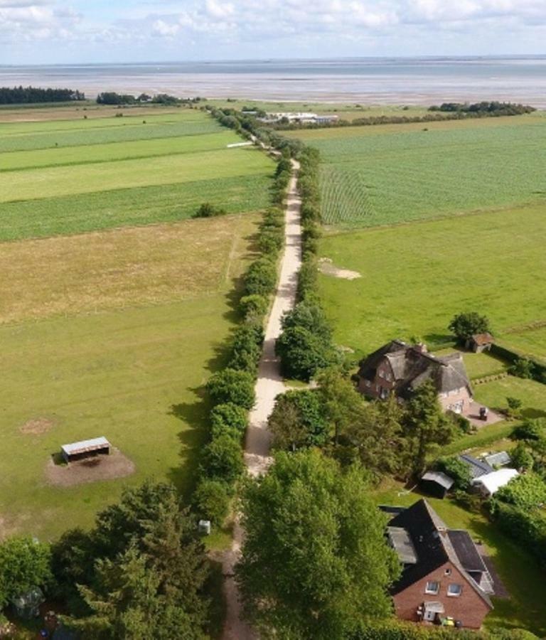Ferienwohnung Halligblick Nieblum Zewnętrze zdjęcie